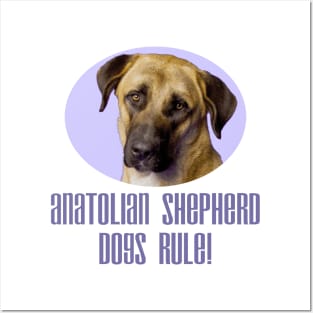 Anatolian Shepherd Dogs Rule! Posters and Art